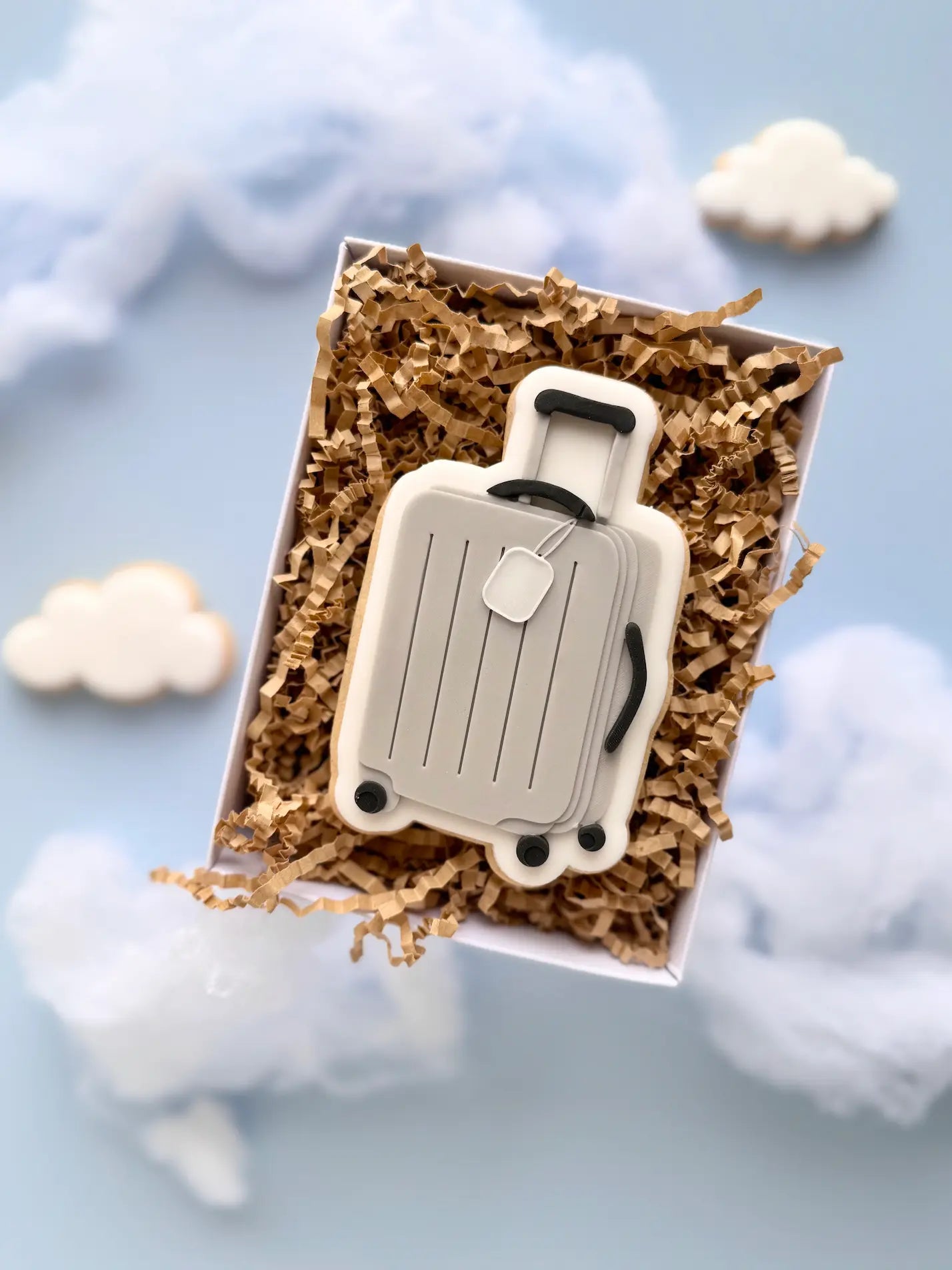 Danis Drip Cookie Cutter Pilot Fliegen Flugzeug mann Mütze airplane fly fliegen reisen Koffer Tasche