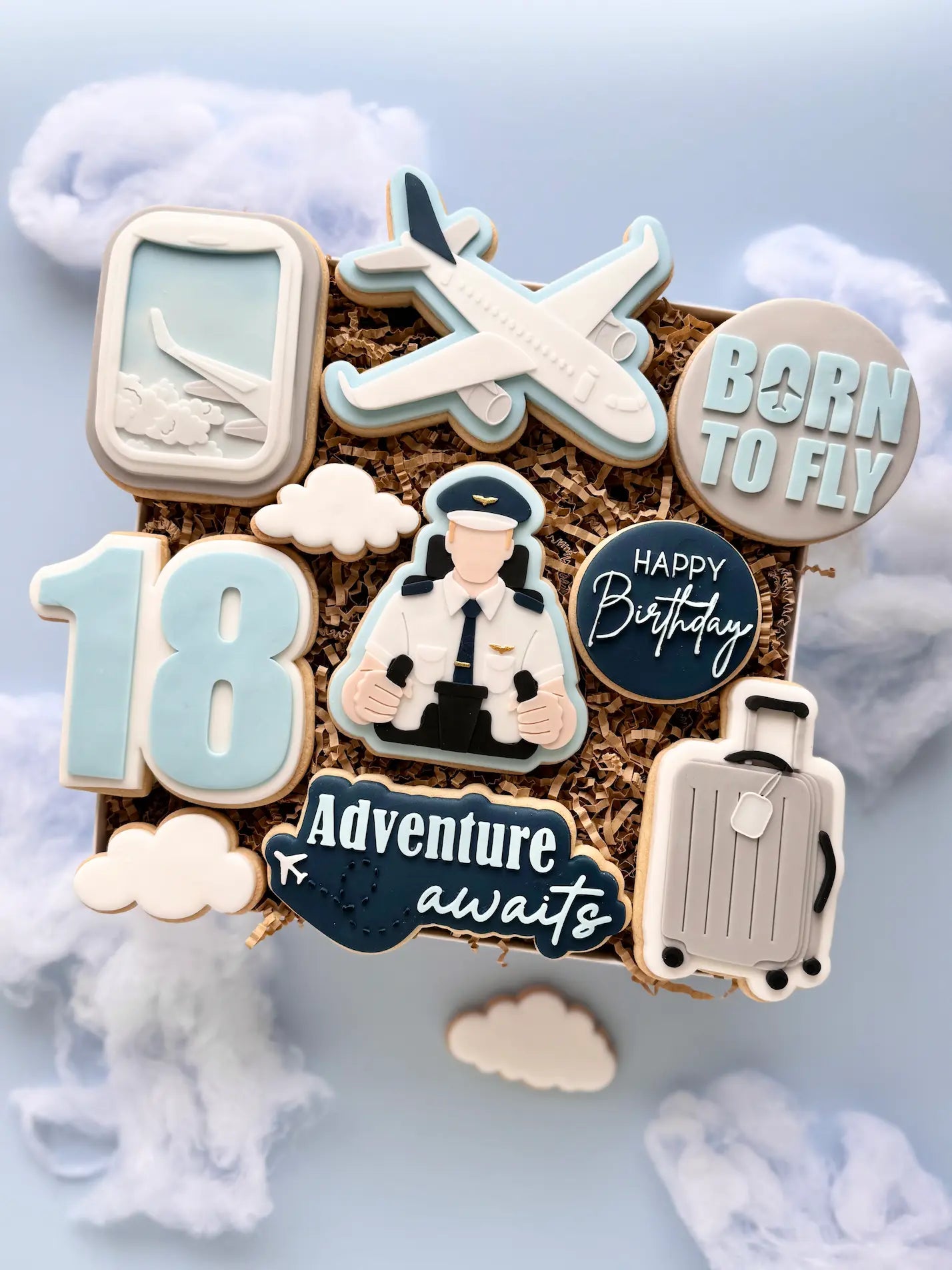 Danis Drip COokie Cutter Pilot Fliegen Flugzeug Koffer reisen kekse fondant Fensterblick Flugzeug 