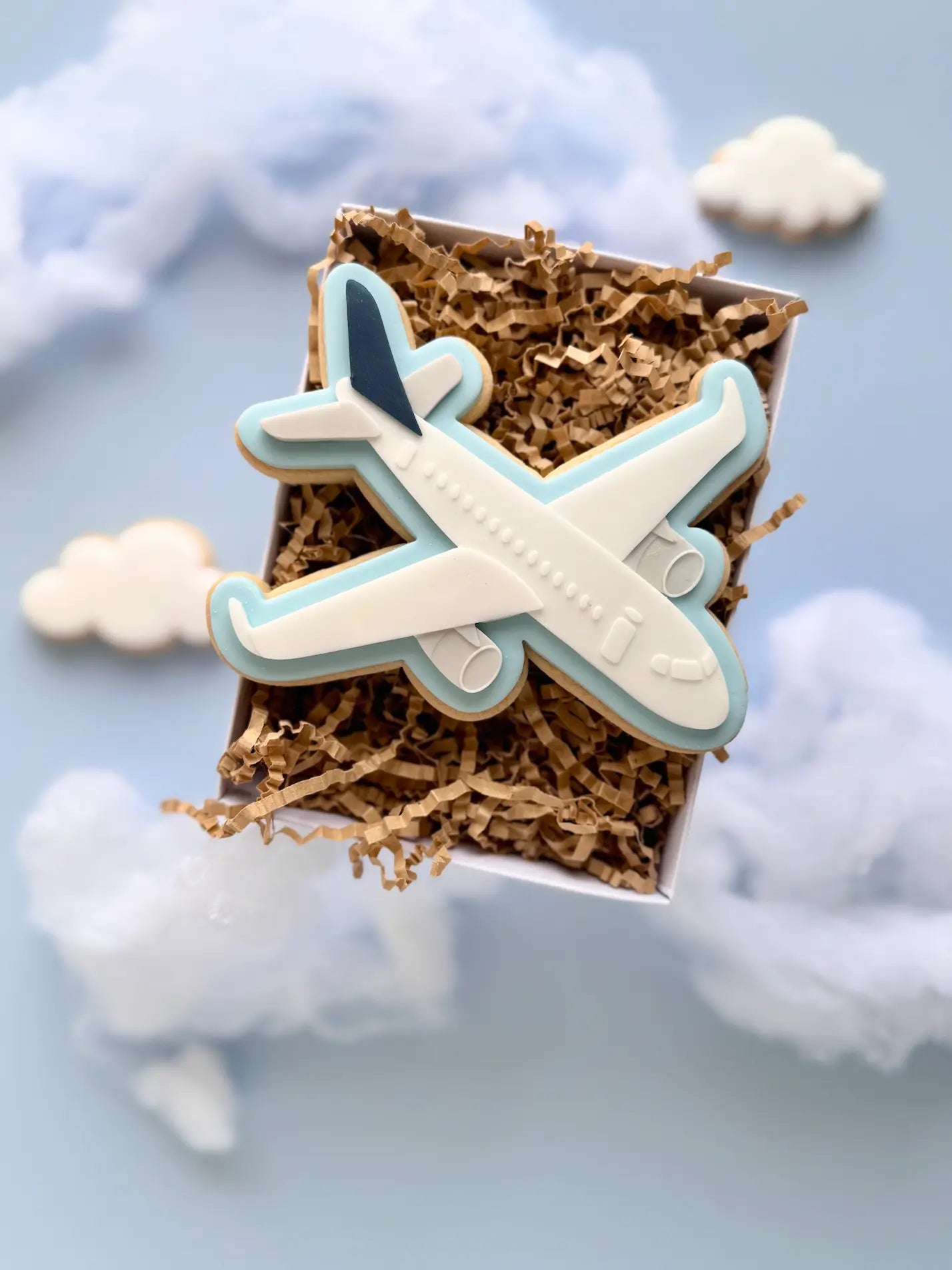 Danis Drip Cookie Cutter Pilot Fliegen Flugzeug mann Mütze airplane fly fliegen