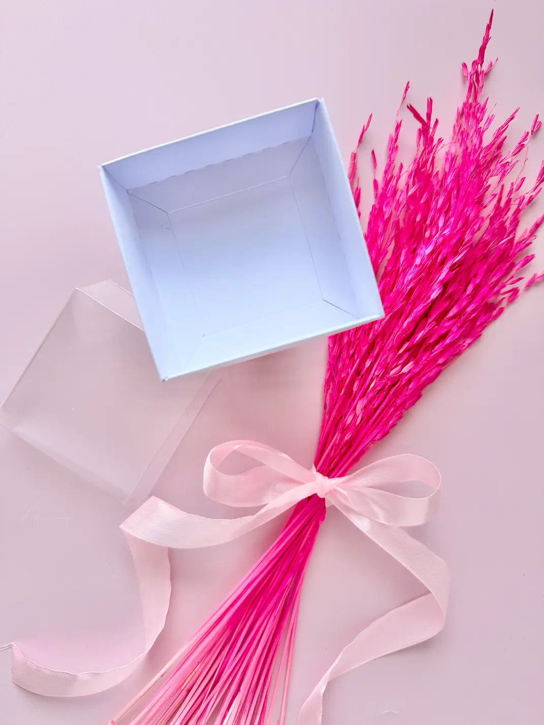 Danis Drip Keksbox mit Sichtfenster fondant kekse cookie cutter cookies ausstecher